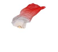BFLCWSTD Éventail pour La Danse Orientale Femmes Belly Dance Soie Long Vetils Veils Props Protely Culte Louange Couleurs Pastel Drapeau Streamer Adultes(Orange,210cm(82 inch))