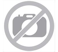 BFT Phobos BT A40 Kit d’automatisation pour portes battantes