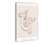 BFTIUTG Poster sur toile Art anatomique du système digestif (2) - Décoration pour chambre à coucher, bureau, chambre - Cadeau - 60 x 90 cm