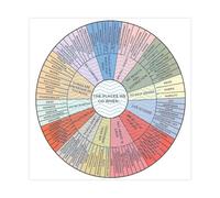 BFTIUTG Poster sur toile The Wheel of Emotions - Carte de l'âme 2 - Décoration pour chambre à coucher, bureau, chambre - Cadeau - 30 x 30 cm