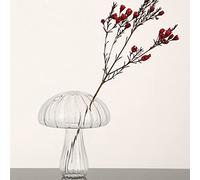 BFYDOAA Vase Transparent en Forme de Champignon en Verre, Mini Récipient pour Plantes Hydroponiques pour Arrangement Floral, Décoration de Table de Bureau à Domicile(A)