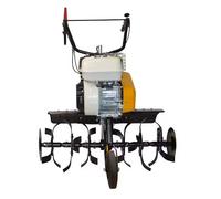 BG E860 H - MOTOBINEUSE THERM BG EXPERT E860 H