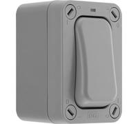 BG Electrical WP12S Interrupteur mural simple d'extérieur avec indicateur LED Résistant aux intempéries Gris Nexus Storm 2 voies 20 A IP66