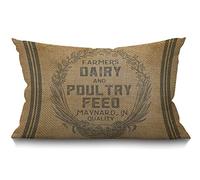 BGBDEIA Housse de coussin décorative vintage en toile de jute et lin pour canapé, lit, 30 x 50 cm