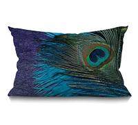 BGBDEIA Housse de coussin en coton et lin pour canapé Motif paon Violet et bleu sarcelle 30 x 50 cm