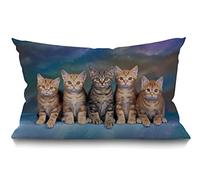 BGBDEIA Housse de coussin rectangulaire avec motif de chat mignon - 30 x 50 cm - Avec fermeture éclair invisible - Pour canapé, chaise, salon
