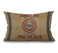 BGBDEIA Housse de coussin vintage en toile de jute pour sac de volaille - Housse de coussin lombaire décorative en coton et lin pour canapé, pendaison de crémaillère, cadeaux de pendaison de