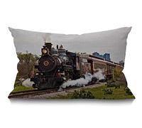 BGBDEIA Nice Gift Housse de coussin lombaire vintage en coton et lin pour canapé, décoration de la maison, 30 x 50 cm