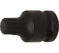 BGS 5381-M14 Jeu d'embouts de vissage, denture intérieure, M14, 12,5 (1/2), 40 mm