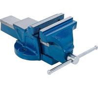 BGS technic KG Étau parallèle 58265 mâchoires 125 mm