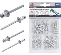 BGS Diy Assortiment de rivets pop 75846 Ø 2,4–4,8 mm 100 pièces