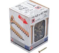 BGS Diy 88023 Lot de 460 vis multi-usages profil en T (pour Torx) T20 4,0 x 40 mm 1 kg
