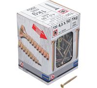 BGS Diy 88026 Lot de 290 vis multi-usages profil en T (pour Torx) T20 4,5 x 50 mm 1 kg