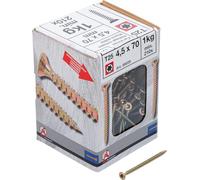 BGS Diy 88028 Lot de 210 vis multi-usages profil en T (pour Torx) T20 4,5 x 70 mm 1 kg