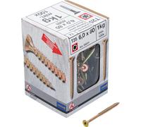 BGS Diy 88031 Lot de 100 vis multi-usages profil en T (pour Torx) T25 6,0 x 80 mm 1 kg