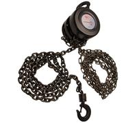 BGS Palan à chaîne pour bouteilles Hauteur de levage 2,5 m 1 t - 3483