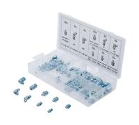 BGS technic BGS Assortiment de graisseurs métriques/pouce 70 pièces Quantité:1