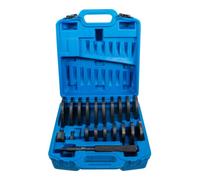 BGS technic BGS Coffret d'extracteurs à frapper XXL 21 pièces Quantité:1