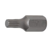 BGS technic BGS Embout 10 mm (3/8") denture multiple intérieure (pour XZN) M6 Quantité:1