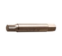 BGS technic BGS Embout avec tige ronde 10 mm (3/8") denture multiple intérieure (pour XZN) M10 Quantité:1