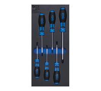 BGS technic KG – Insert 1/3 pour servante d'atelier BGS 4078 – 6 pièces (tournevis profil T, Torx)