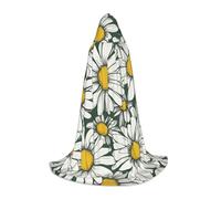 BGSHJVF Cape à capuche pour homme, magicien, vampire et Halloween, pour jeux de rôle et fêtes