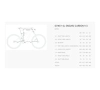 Bh Ilynx+ Sl Enduro Carbon 9.5 Ep801 29´´ Xt 2025 Mtb Electric Bike Argenté M / 810Wh