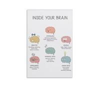 BHBHCPZGR Poster éducatif The Human Brain - Anatomie et fonctions - Décoration murale scientifique pour maison, école e sciences, bureau ou bibliothèque sans cadre, 20 x 30 cm