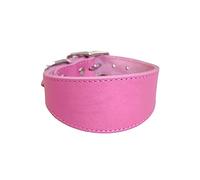 BHFYOB Collier de chien en cuir souple rembourré collier pour Whippet Salukis lévriers collier réglable pour chiens de grande taille