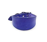 BHFYOB Collier rembourré doux en cuir pour chiens whippets salukis lévriers collier réglable pour chiens de grande race