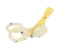 BHFZIAP Grossissement 5X oreille humaine canal semi-circulaire modèle cochléaire anatomique, multicolore, See Description, comme description