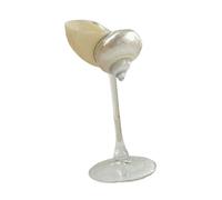 BHFZIAP Verre à champagne en forme de coquille de conque - Cadeau unique pour femme et homme - Style A