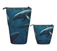 BHHJKK Khiry 11503 Trousse à crayons télescopique avec motif de chats oranges pour bureau - Organisateur de bureau - Trousse à crayons rétractable pour le travail - 17,8 x 14,5 cm, Baleine océanique,