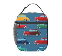 BHHJKK Sacs à déjeuner réutilisables pour hommes, femmes, garçons, filles, animaux sauvages, dinosaures, pour école, bureau, pique-nique, camping, isolation thermique et conservation du froid