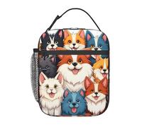 BHHJKK Sacs à déjeuner réutilisables pour hommes, femmes, garçons, filles, animaux sauvages, dinosaures, pour école, bureau, pique-nique, camping, isolation thermique et conservation du froid