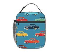 BHHJKK Sacs à déjeuner réutilisables pour hommes, femmes, garçons, filles, animaux sauvages, dinosaures, pour école, bureau, pique-nique, camping, isolation thermique et conservation du froid