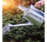 BHKERUZ Galvanized Metal Watering Can Long Spout Indoor Outdoor Plant Watering Can with Detachable Head for Garden Balcony Potted Plants,10L