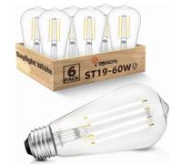 BHMAOYN Ampoule LED E27 12V à visser,6W Basse Tension E27 Ampoules AC/DC 12-24V Antique Rétro E27 Lumières LED équivalent 60W,Pour Camping-Car (Blanc Froid 5000K, ST64 6W E27 Pakc de 6)
