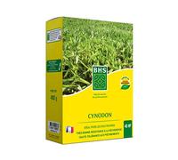 BHS Cynodon - Zones méditerranéennes - 480g - 40 m² - Assure Un Tapis Vigoureux Et Dense d’un Vert Assez Foncé - S’installe Sur Tous Types De Sols Homogène CYN480
