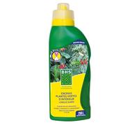 BHS - Engrais BHS EPVI1 pour Plantes Vertes - Nutrition Optimale en Intérieur