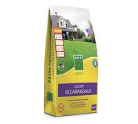 BHS Gazon Regarnissage et Rénovation - 5kg - Soit 250 m² - Semences Enrobées Permettant Une Meilleure Adhérence Au Sol GRE5