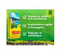 BHS Semence de Gazon rustique - 10 kg