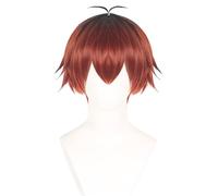 bi bi hou Stark Cosplay Perruque Rouge Longueur 25cm Déguisement de Anime Frieren at the Funeral Stark Wig Anime Perruque Noël Halloween Carnaval Fête Costume Accessoires Adulte