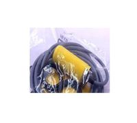 BI10-S30-AP6X/S100 BI10-S30-AN6X/S100 Temperature Resistance Proximity Switch Sensor(BI10-S30-AN6X S100)