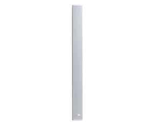 Biamp Systems Desono COLS101 10 x 2 pouces, Enceintes colonnes