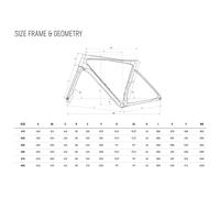 Bianchi Cadre De Route Specialissima Rc Disc