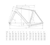 Bianchi Vélo De Gravel Impulso Comp Ekar Gt 1x13s 2026