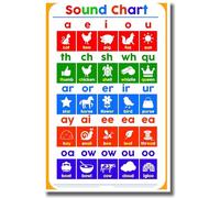 BIANMTSW Classroom Reading Chart - Phonics Sounds Poster with Spelling Aid, Essential Teaching Resource for Kindergarten & Early Elementary Grades Unframed,16x24inch(40x60cm)