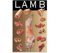BIANMTSW Lamb Primal Cuts Guide Poster Meat Preparation Visual Aid Decor | semi gloss finish resists kitchen moisture and wipes clean without smudging.(Unframed,08x12inch(20x30cm))