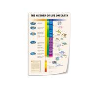 BIANMTSW Vintage Science Education Poster - Earth's Geological Timeline & Evolution of Life Chart, Unframed Print for Enthusiasts and Home School Framed,08x12inch(20x30cm)